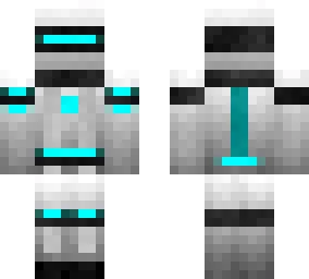 cyber paladin